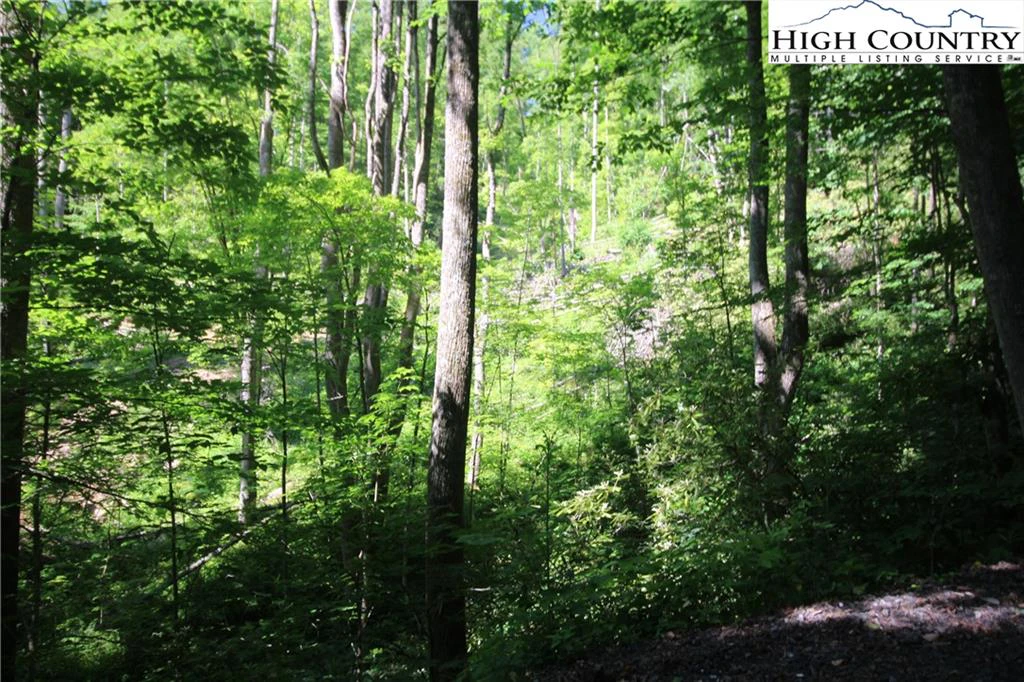 Image number 4 for the current listing