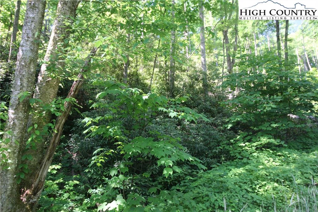 Image number 5 for the current listing