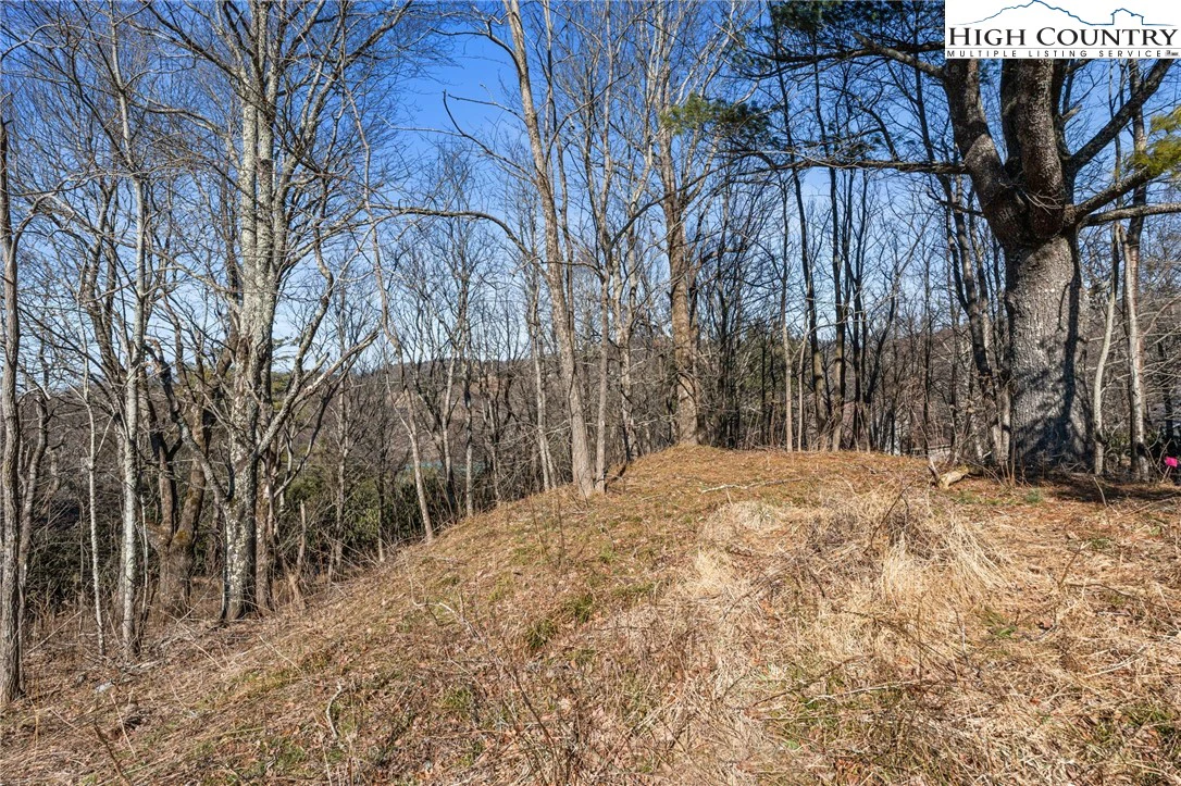 Image number 4 for the current listing
