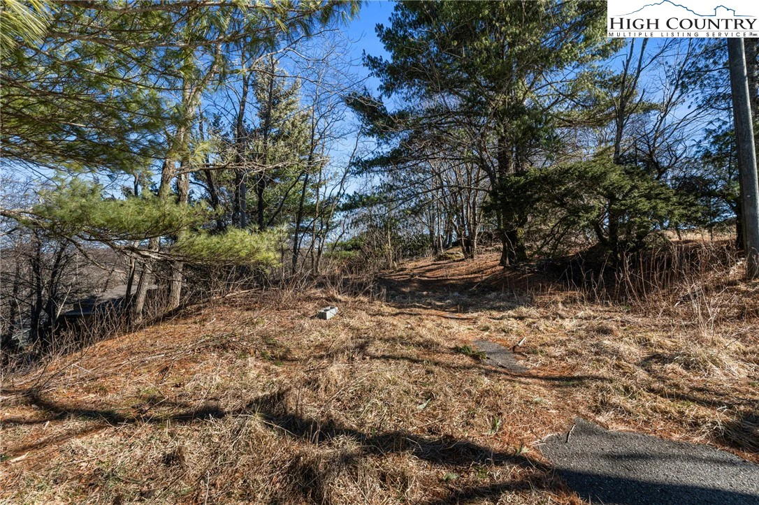 Image number 3 for the current listing