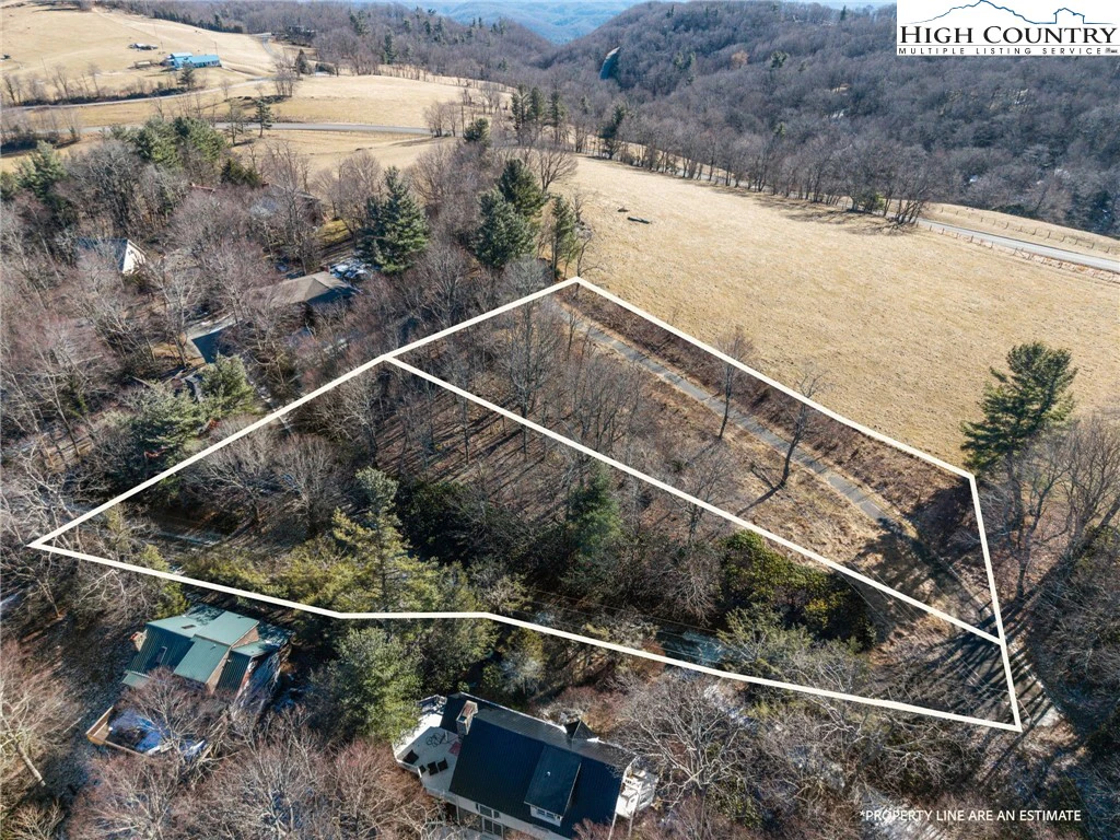 Image number 1 for the current listing