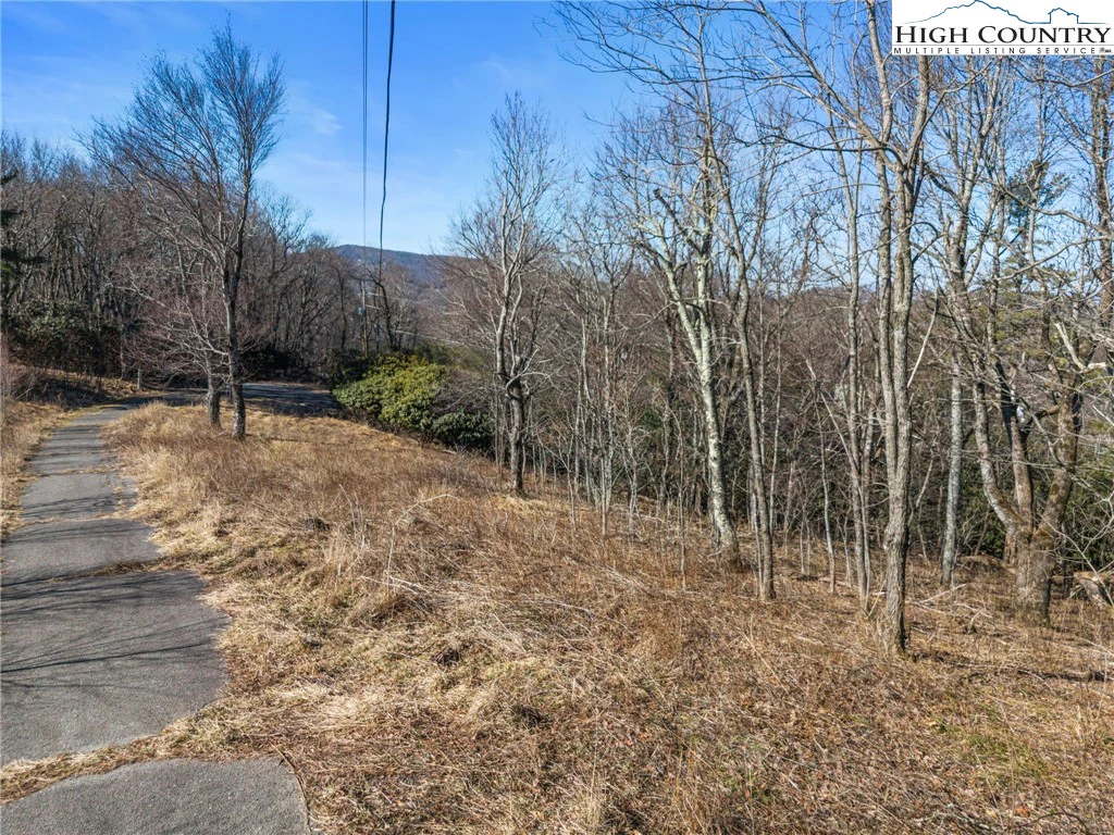 Image number 18 for the current listing