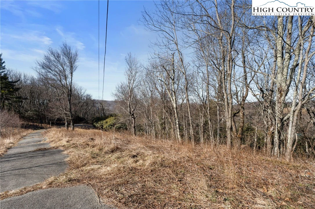 Image number 14 for the current listing