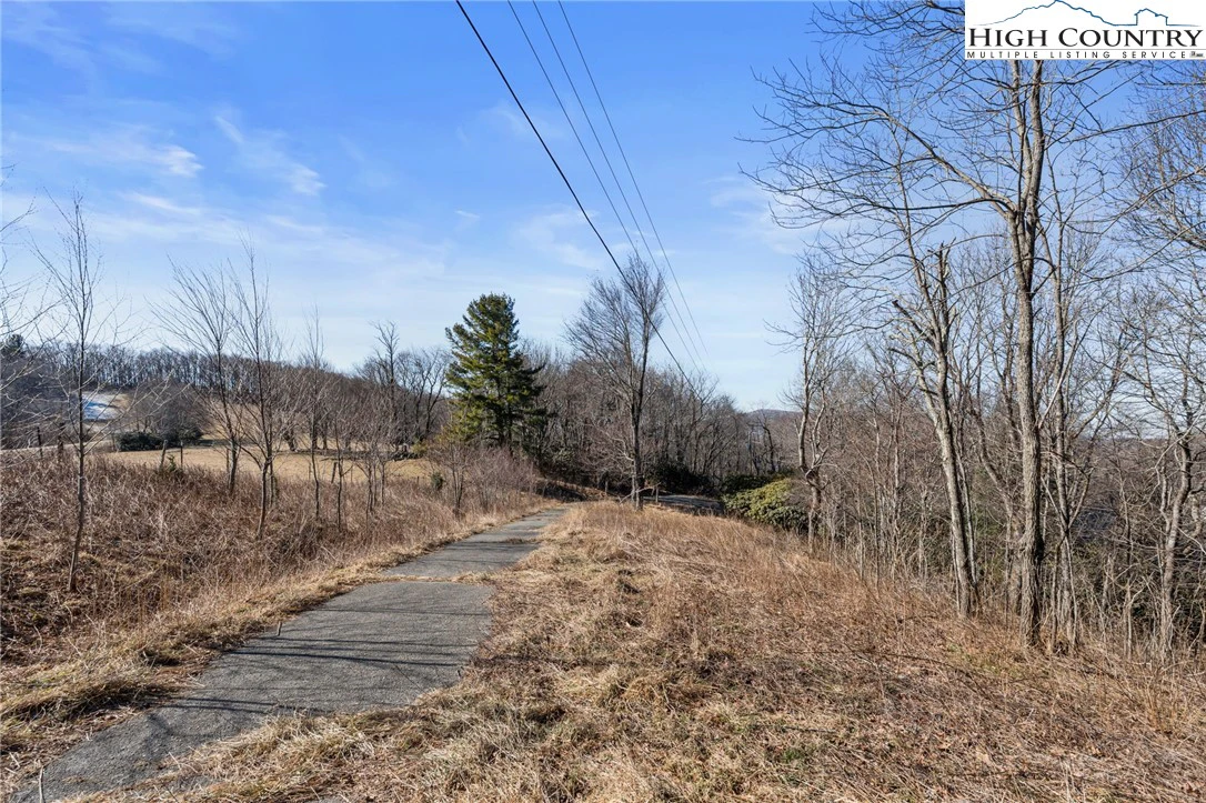 Image number 13 for the current listing