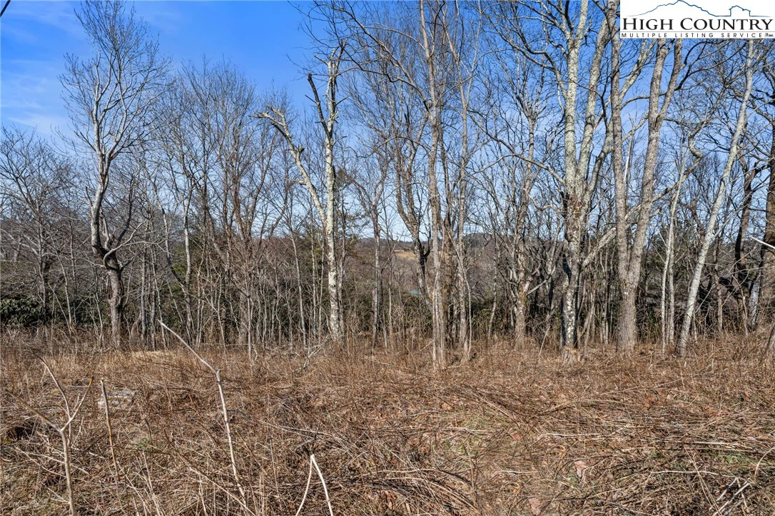 Image number 2 for the current listing