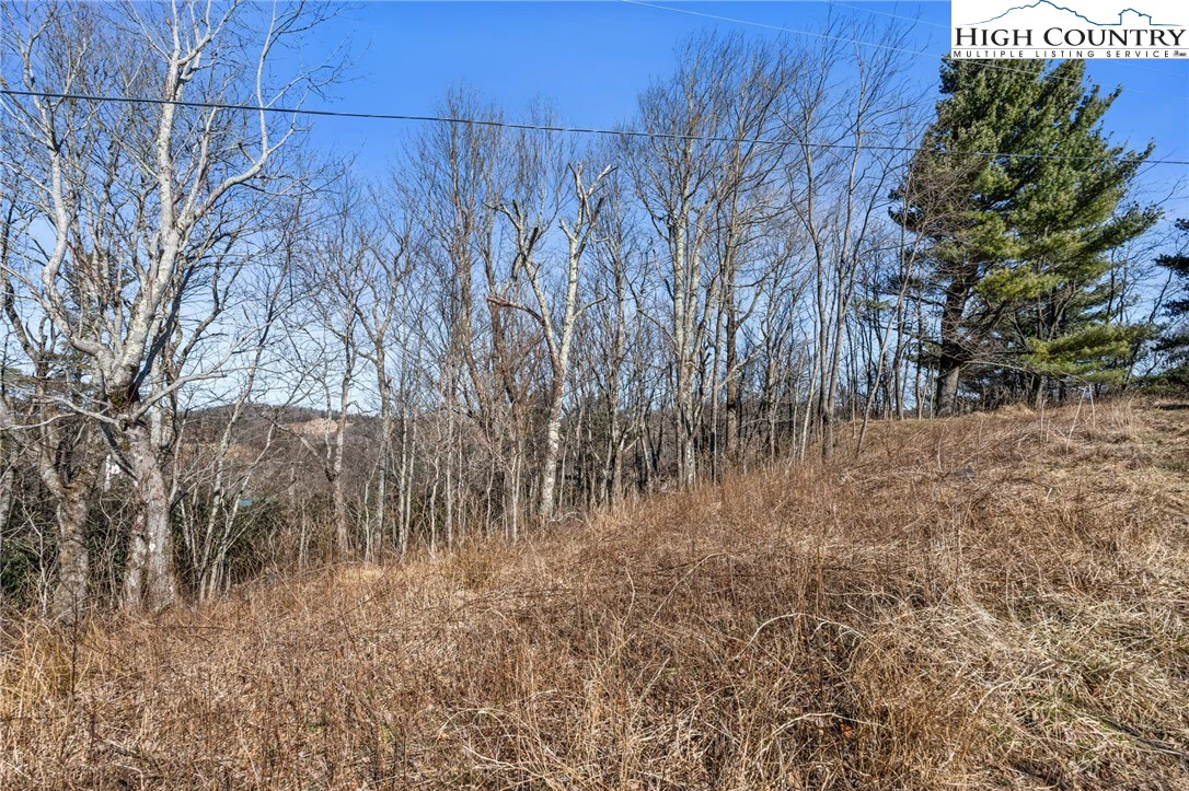 Image number 12 for the current listing