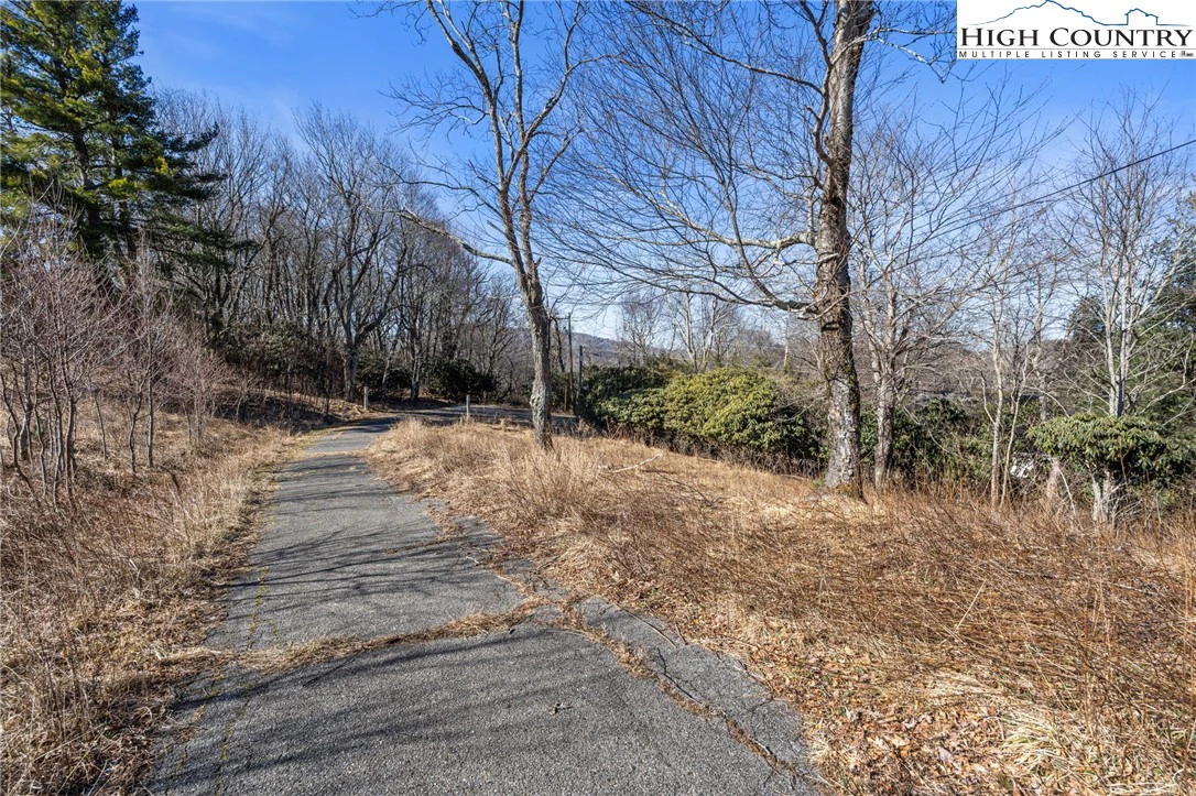 Image number 11 for the current listing