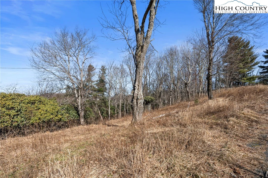 Image number 10 for the current listing