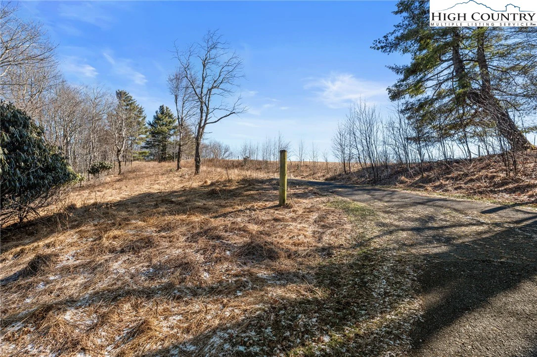 Image number 8 for the current listing