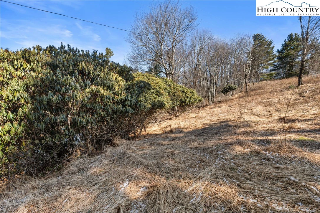 Image number 7 for the current listing