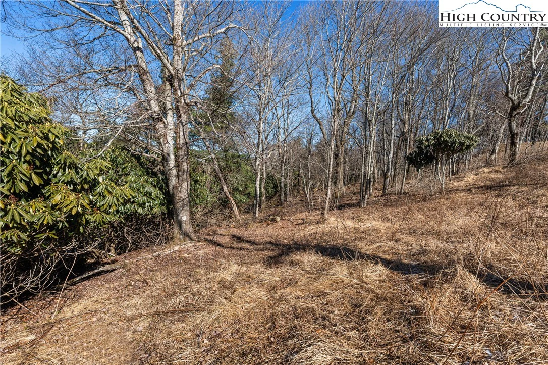 Image number 6 for the current listing