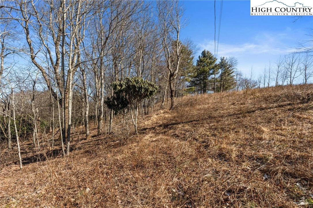 Image number 5 for the current listing