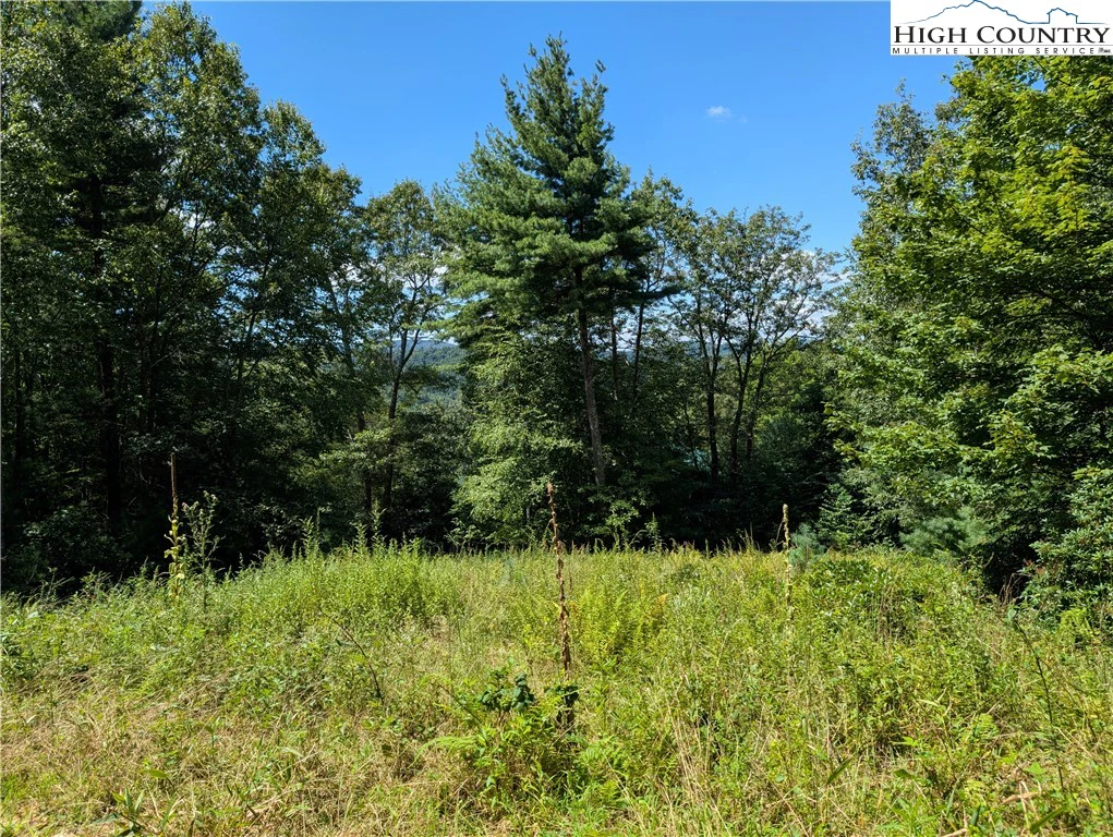 Image number 8 for the current listing