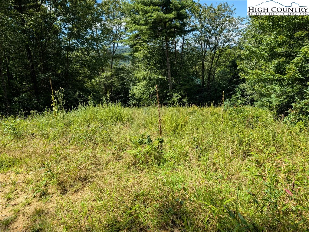 Image number 9 for the current listing