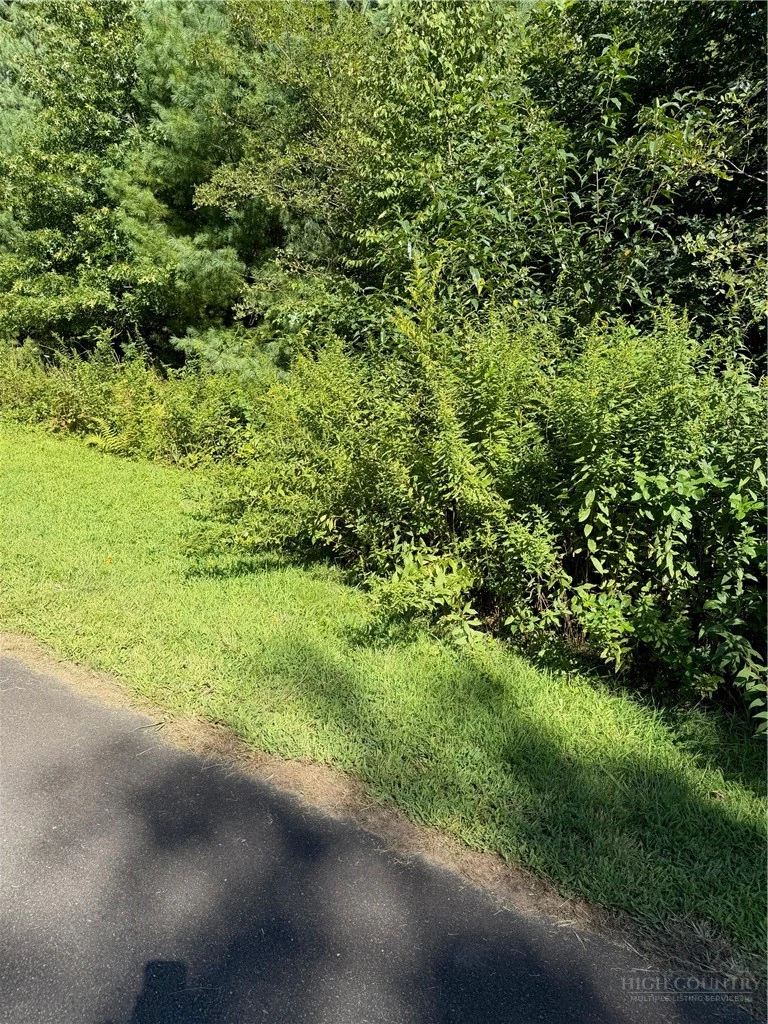 Image number 1 for the current listing