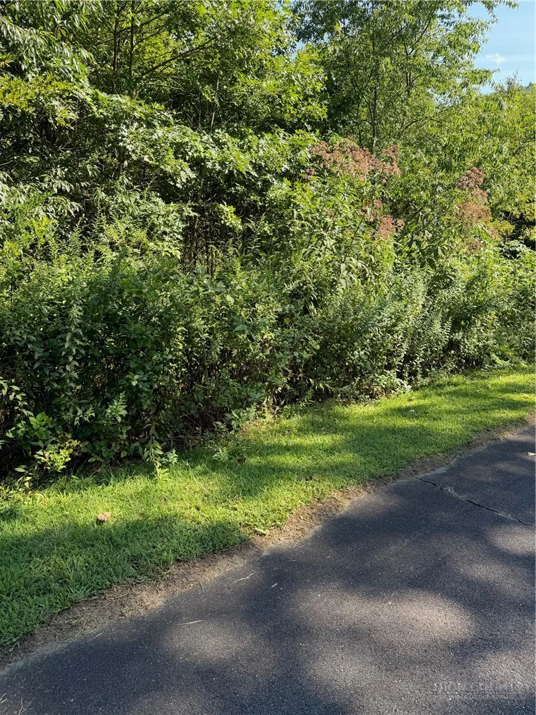 Image number 4 for the current listing