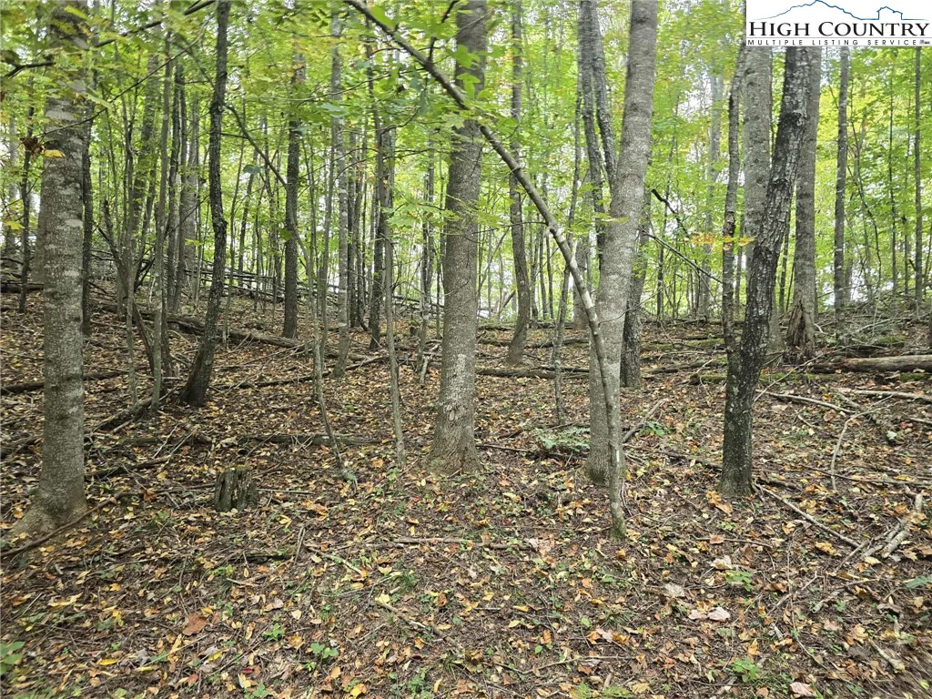 Image number 20 for the current listing