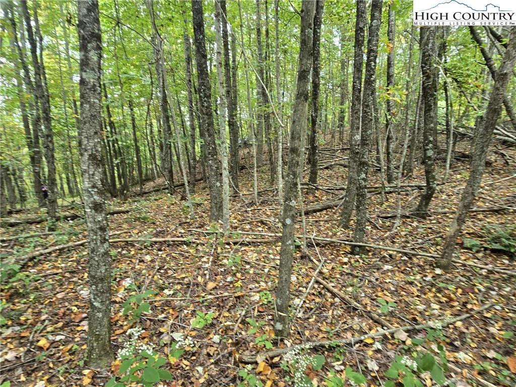 Image number 19 for the current listing