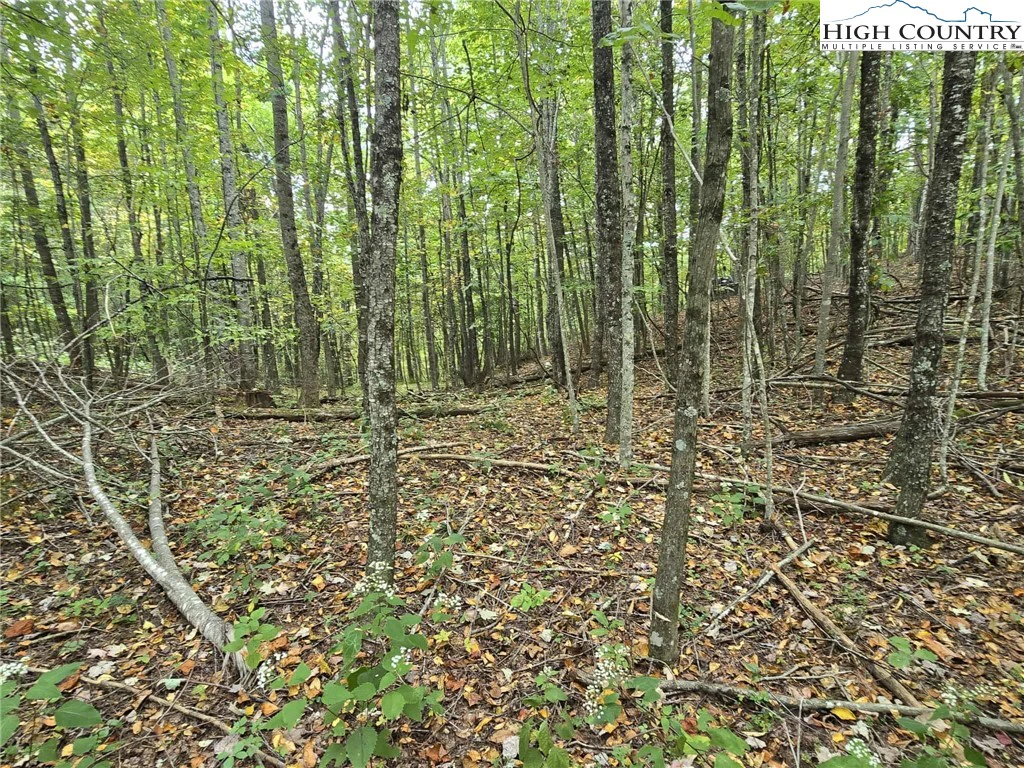 Image number 14 for the current listing