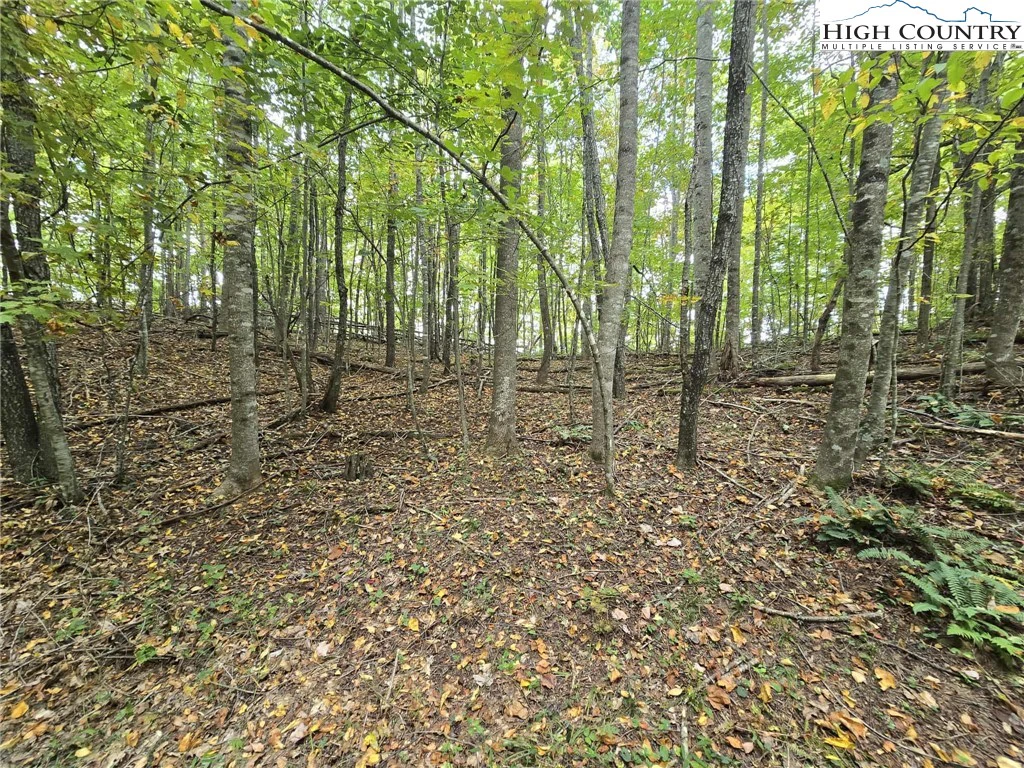 Image number 1 for the current listing