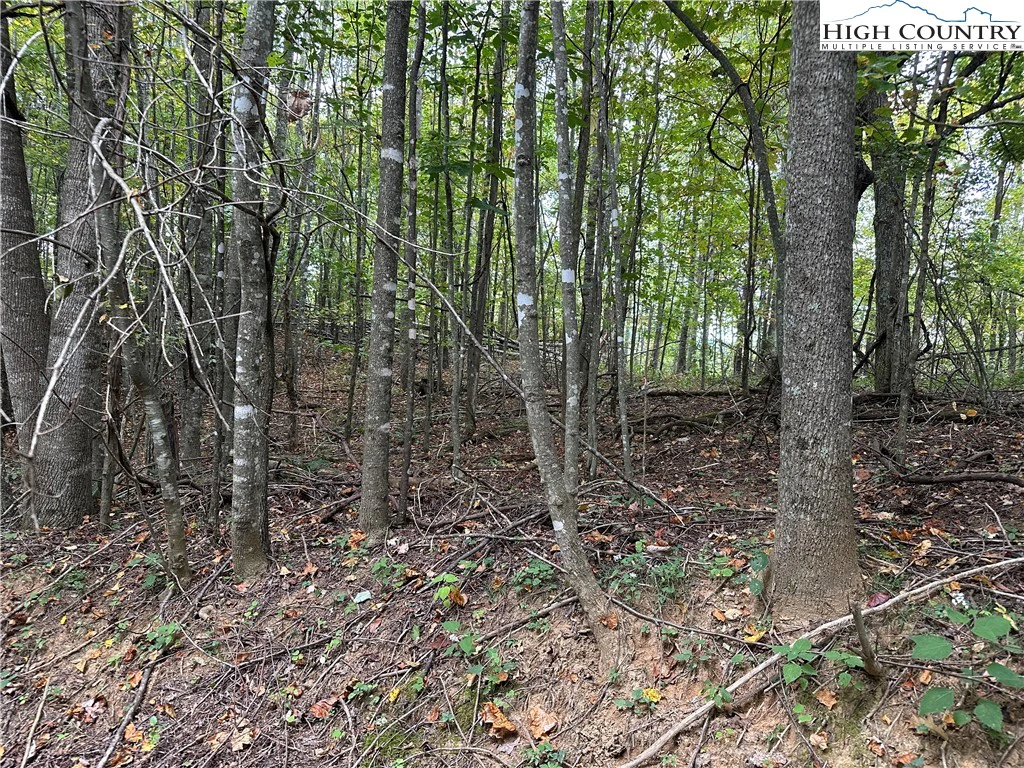 Image number 2 for the current listing