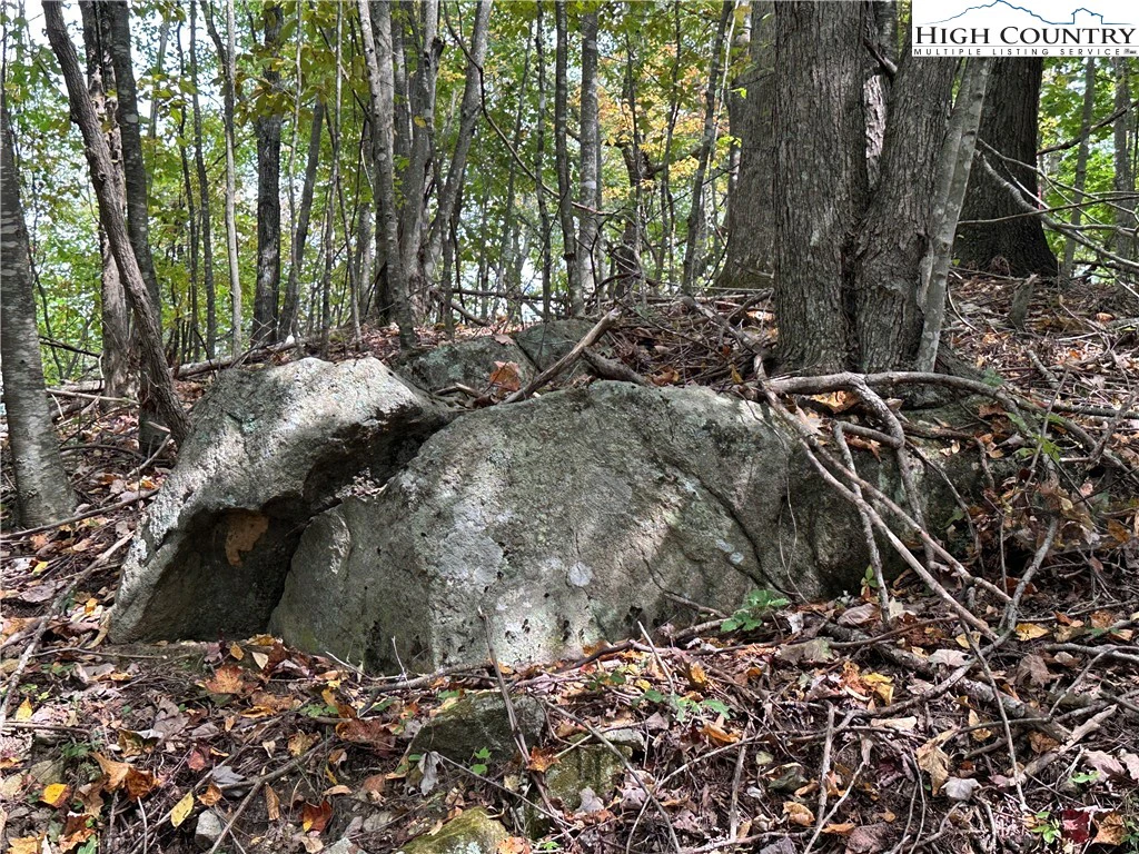 Image number 9 for the current listing