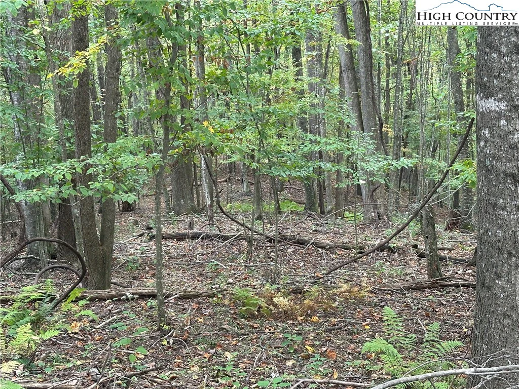 Image number 7 for the current listing