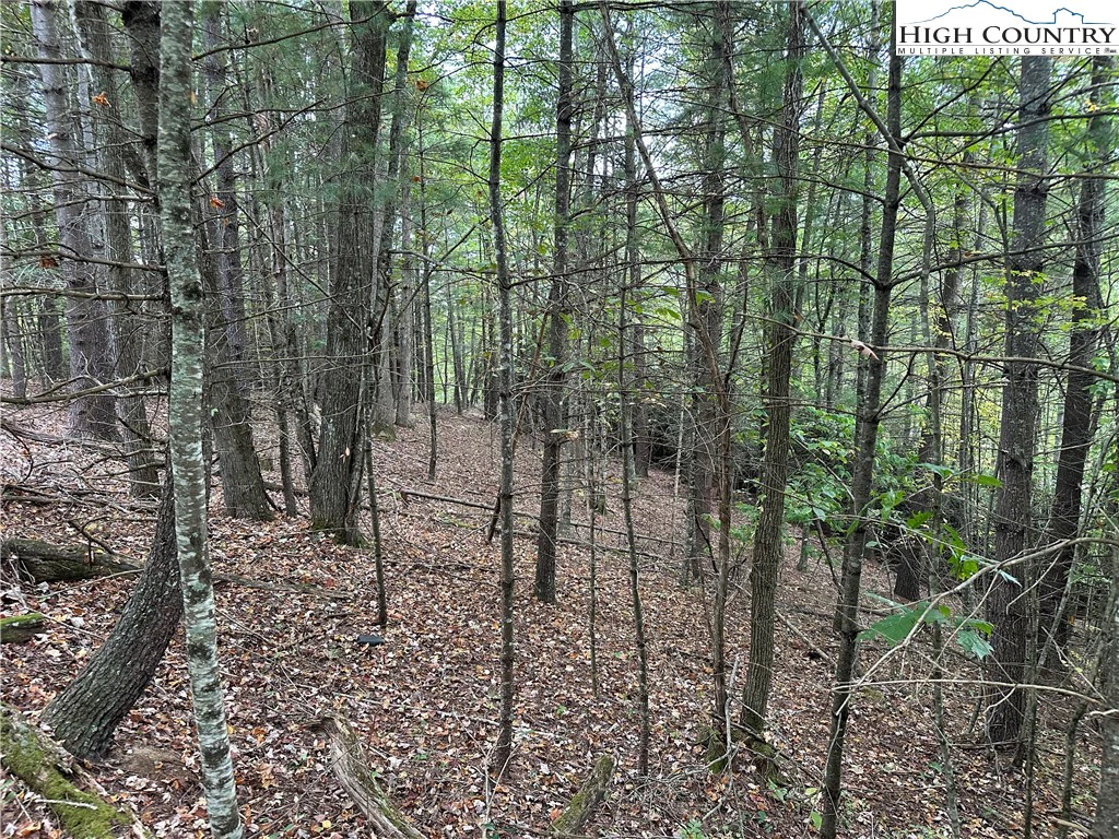Image number 6 for the current listing