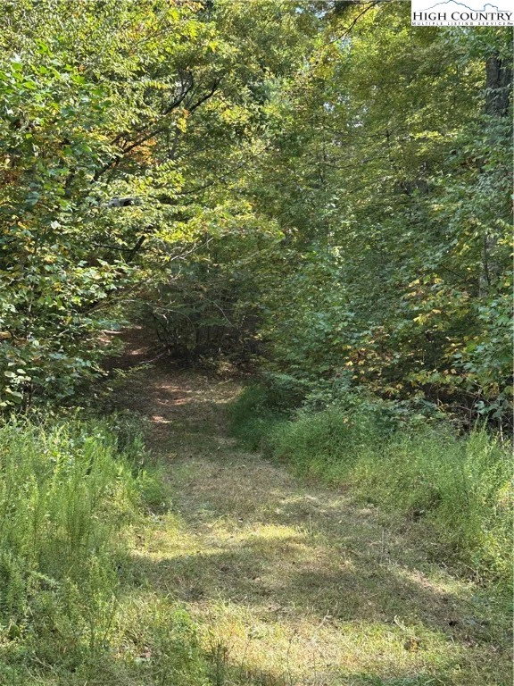 Image number 4 for the current listing