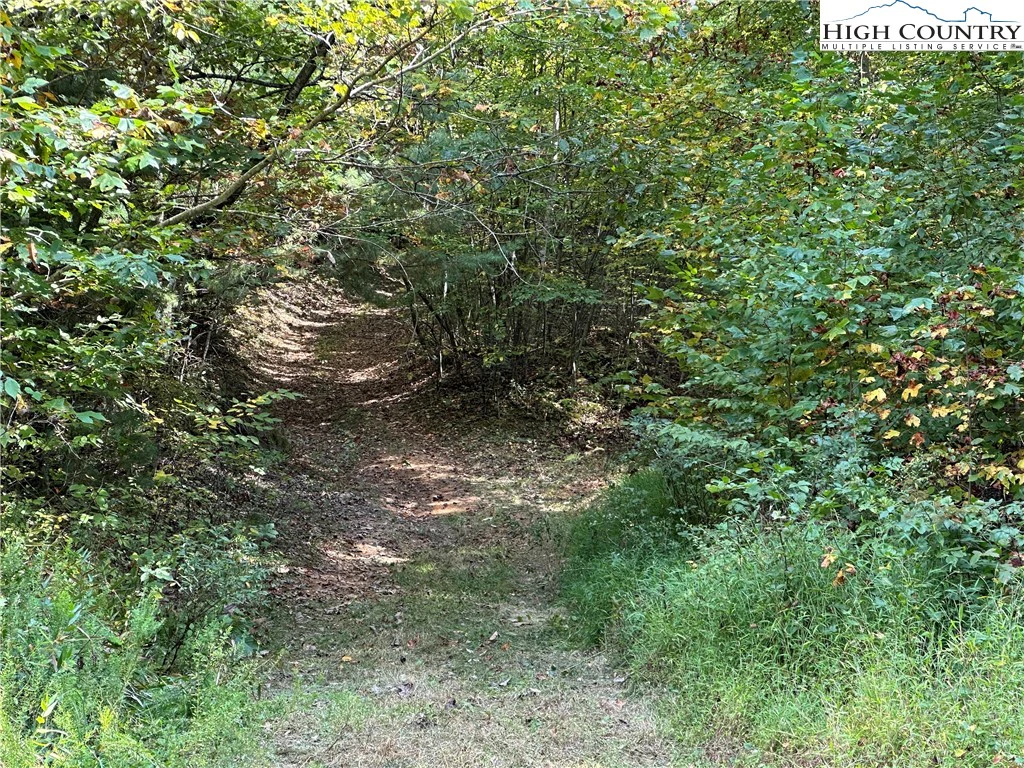 Image number 3 for the current listing