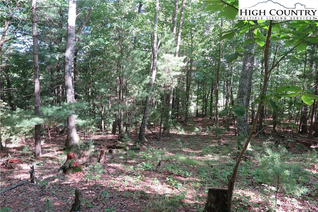 Image number 3 for the current listing