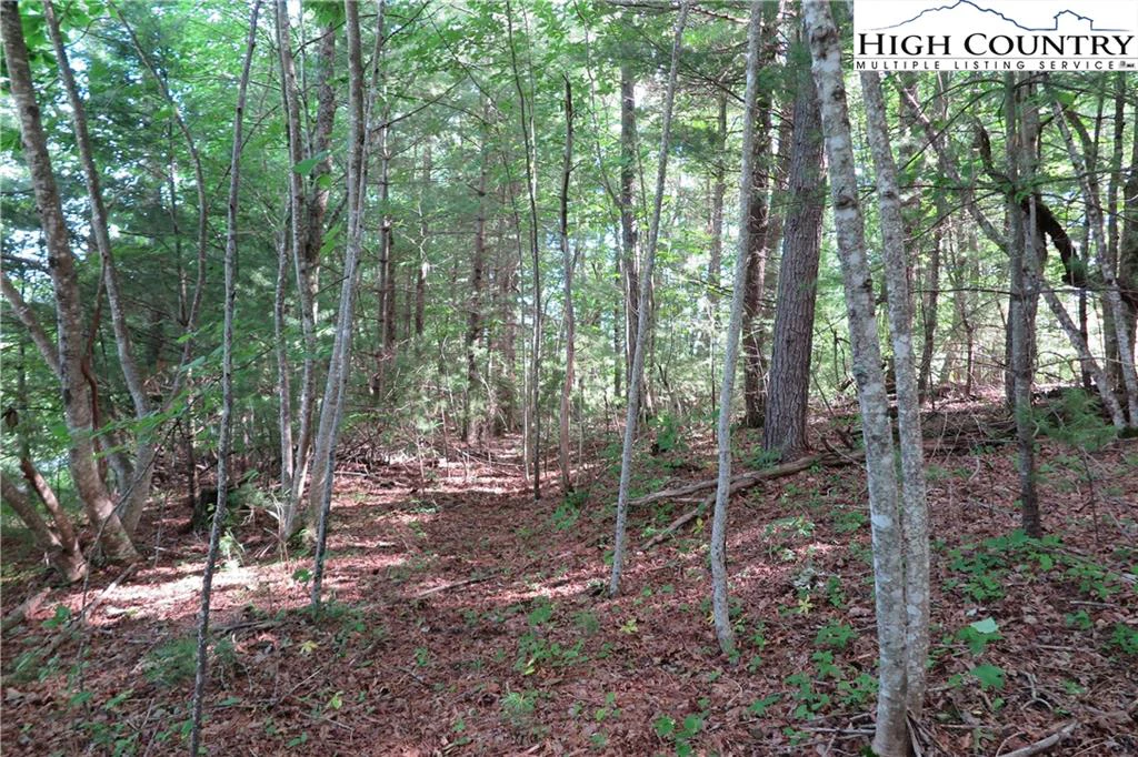 Image number 5 for the current listing