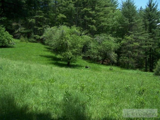 Image number 1 for the current listing