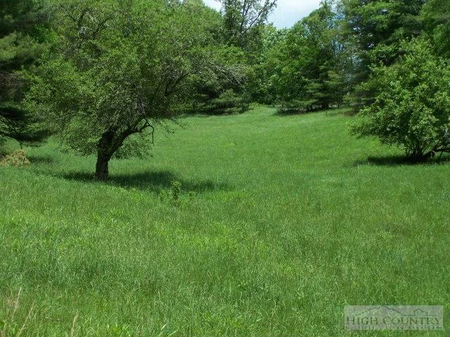 Image number 3 for the current listing