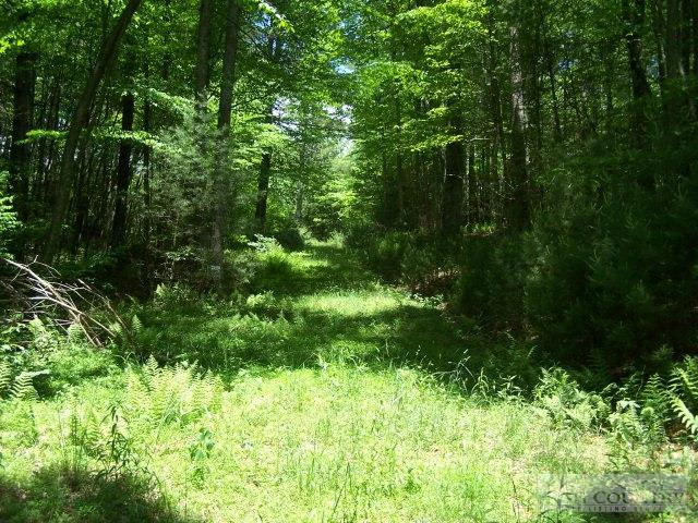 Image number 7 for the current listing