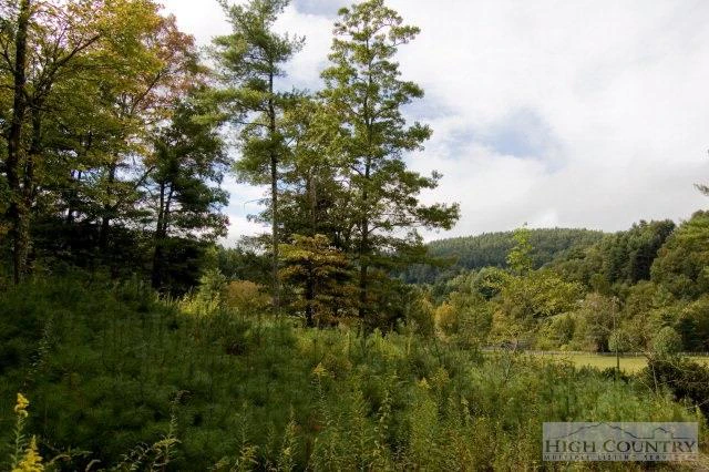 Image number 1 for the current listing