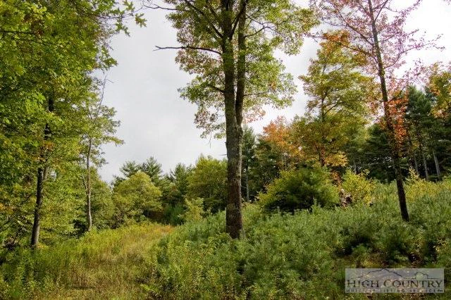 Image number 3 for the current listing