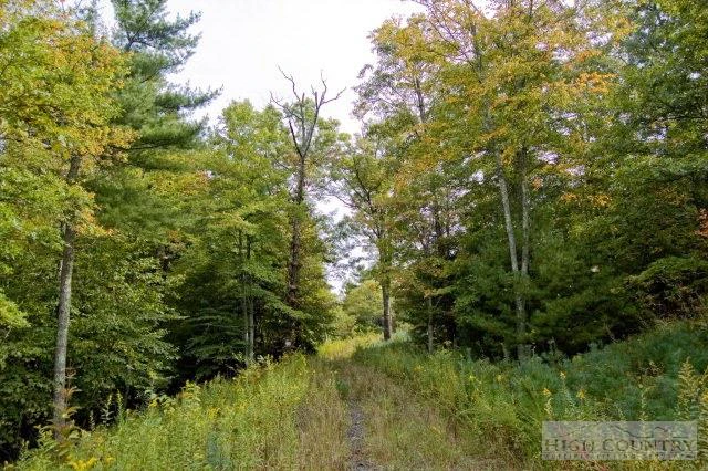 Image number 4 for the current listing