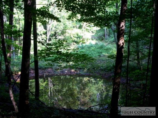 Image number 1 for the current listing