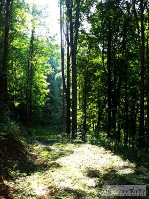 Image number 3 for the current listing