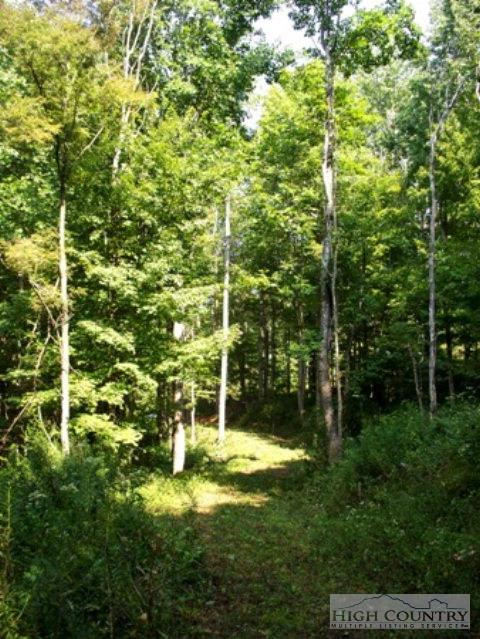 Image number 4 for the current listing