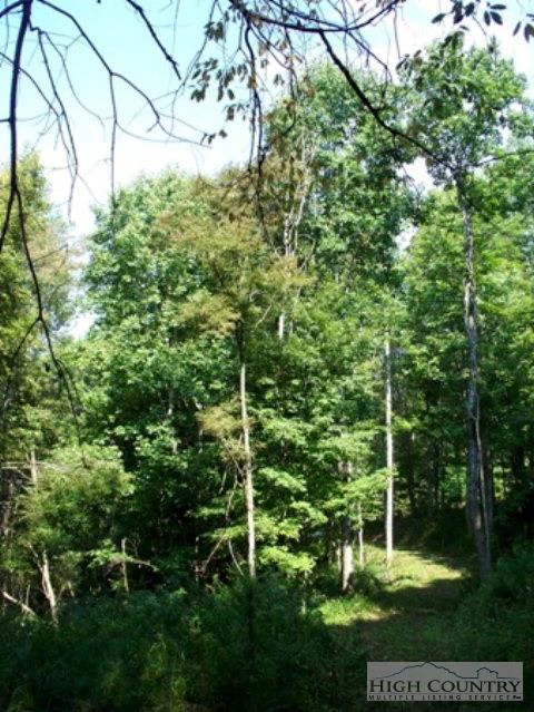 Image number 6 for the current listing