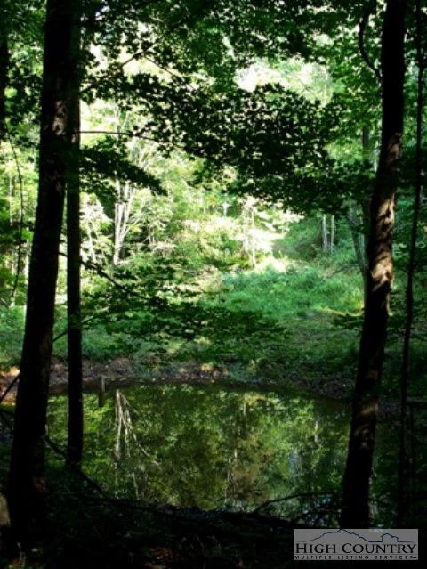 Image number 7 for the current listing