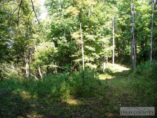 Image number 9 for the current listing