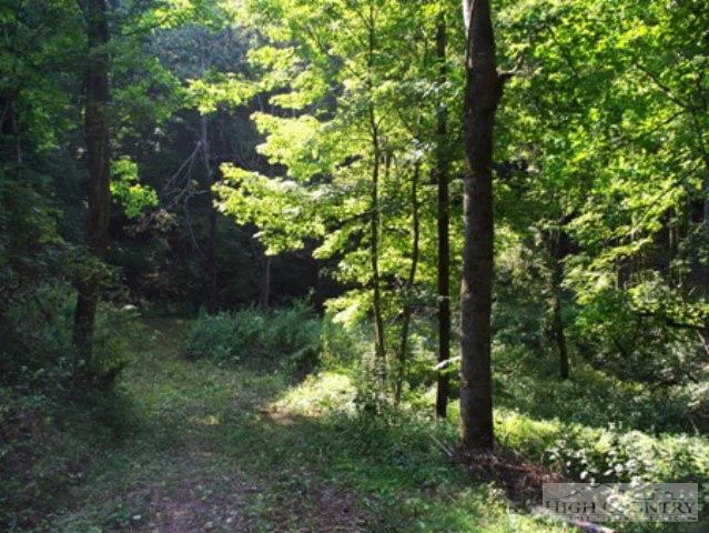 Image number 10 for the current listing