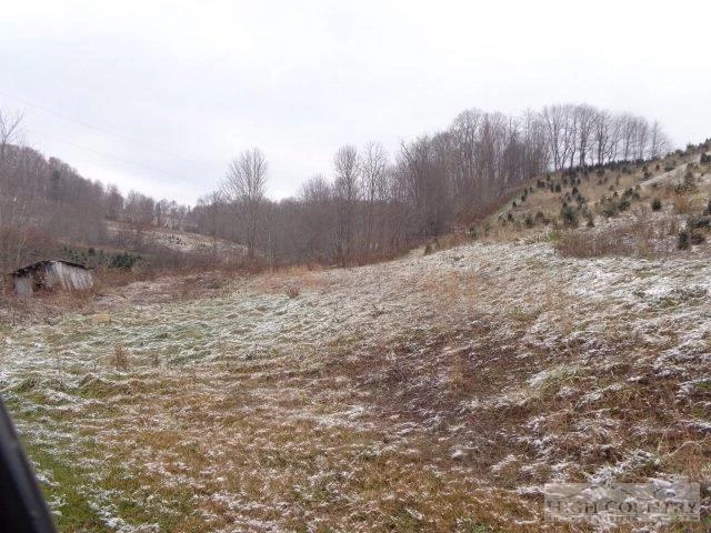 Image number 1 for the current listing