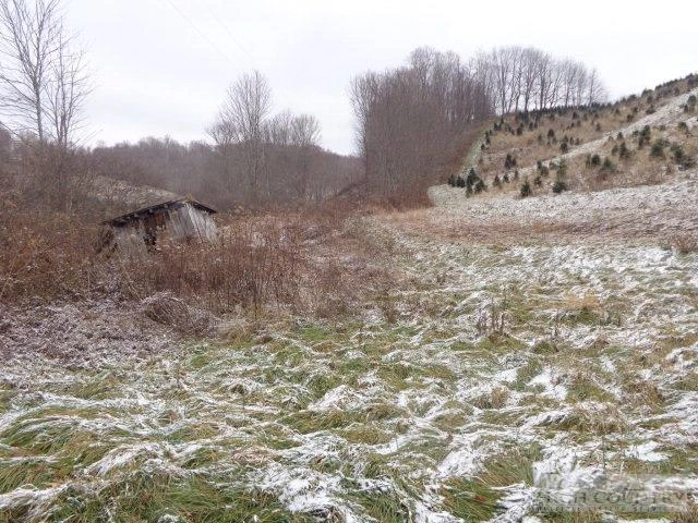 Image number 6 for the current listing