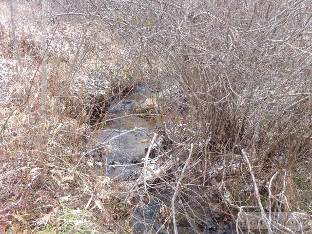 Image number 7 for the current listing