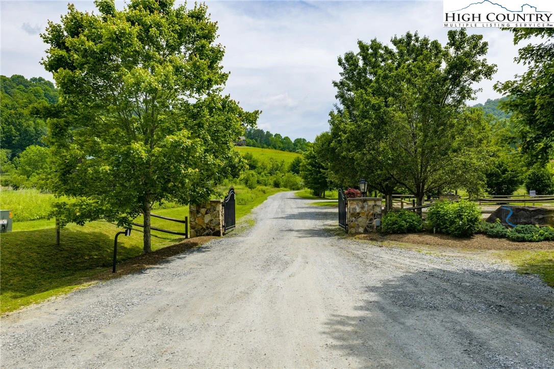 Image number 2 for the current listing
