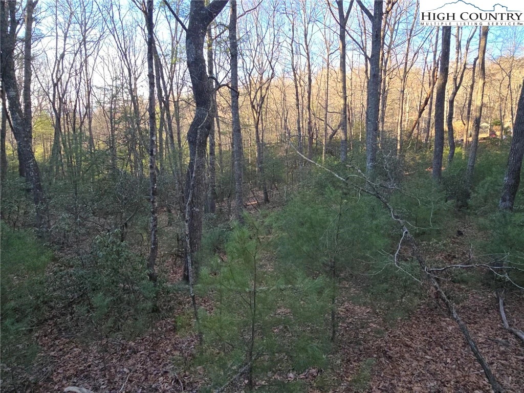 Image number 3 for the current listing